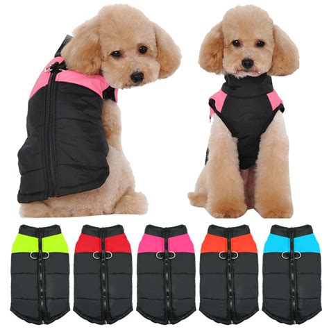 Vêtements pour chiens pour petits chiens de taille moyenne carlin