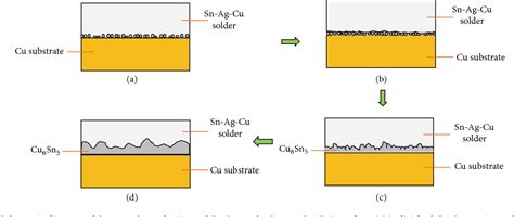 Figure 3 From Interfacial Reaction Of Sn Ag Cu Lead Free Solder Alloy