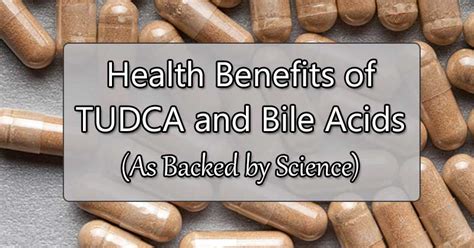 TUDCA and Ox Bile Benefits: What the Science Says - Superfood Journal