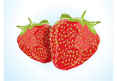 Strawberry Vector Download Free Vector Art Stock Graphics And Images