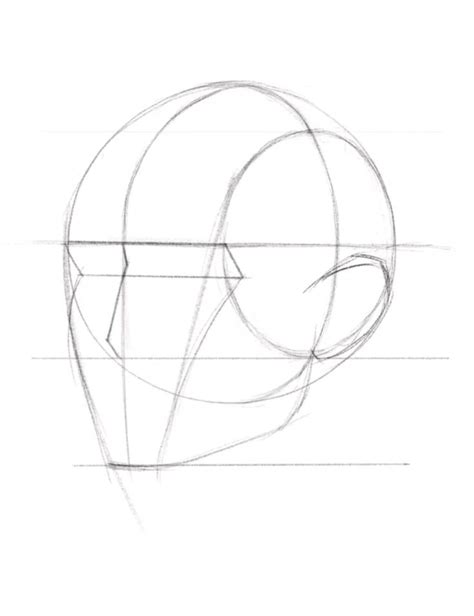 Loomis Method Draw A Head From Any Angle Portrait Drawing Tips