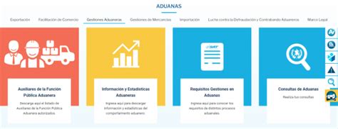 ¿cuál Es El Proceso Del Registro De Importadores Vesco Consultores