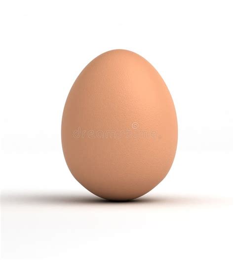 Single Egg stock illustration. Illustration of animal - 27613965