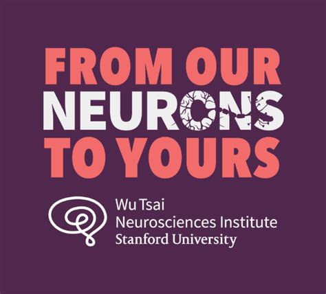 Your gut - the second brain? | Wu Tsai Neurosciences Institute