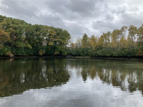 A Bloomington Pantagraph obits entry reveals a shocking history 2