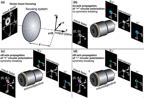 Vectorial Spin Orbital Hall Effect Of Light Upon Tight Focusing And