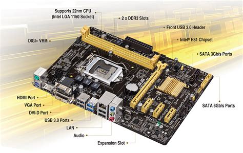 H81M PLUS Motherboards ASUS USA