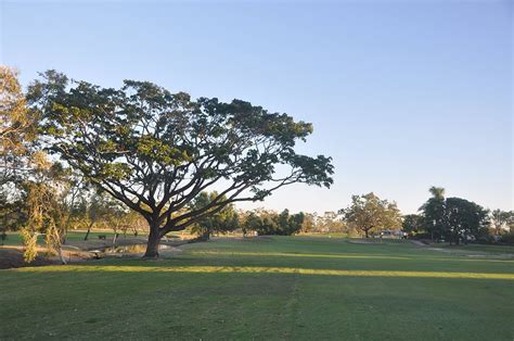 Rockhampton Golf Club | News