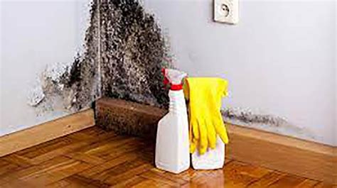 3 Bedroom Villa Maid Mold Removal Dubai Biosweep AC Duct Cleaning