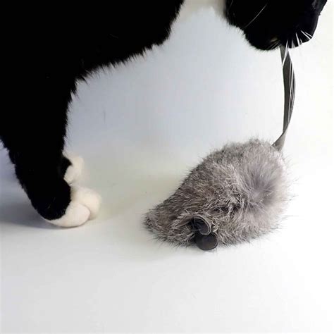 Realistic Mouse - Etsy