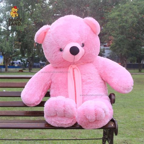 14 Boneka Beruang Warna Pink Jumbo Terpopuler