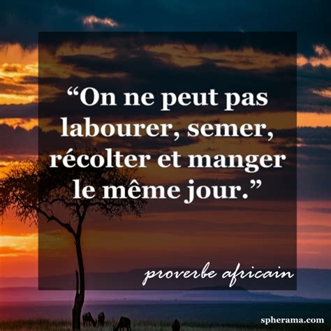 Proverbes africains dictons adages sagesse pensées paroles et