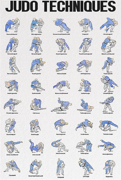 Judo Techniques Poster Poster cute Painting by Clark Cameron - Pixels