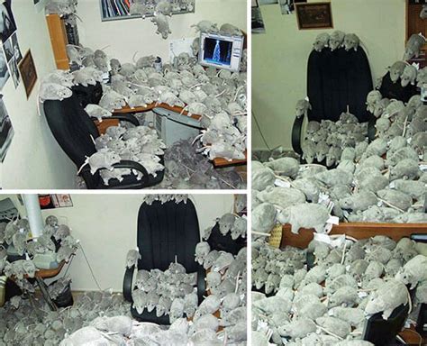 Funny Pranks For April Fools That Might Took It Too Far