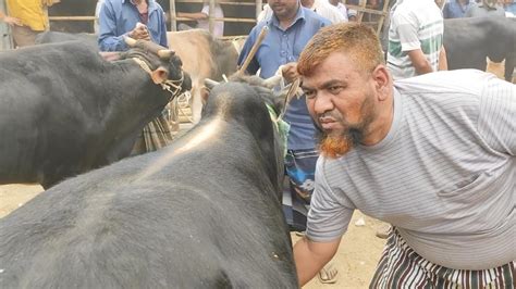 আজ মঙ্গলবার ২৫ এপ্রিল২৩ হায়দার ভাই ৮৬ হাজার টাকায় কত মন মাংসের