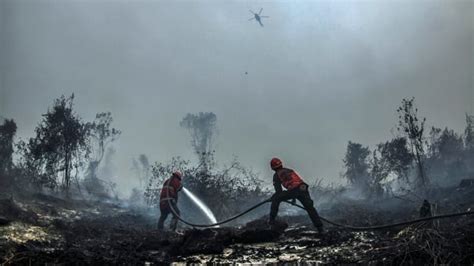 Indonesia sends more troops to combat forest fires | CBC News