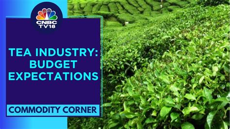 Indias Tea Industry Urges For Tea Promotion Policy In Interim Budget 2024 Cnbc Tv18 Youtube