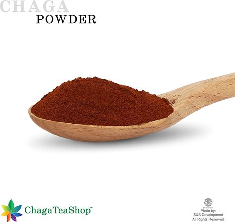 Siberian Chaga Mushroom Raw Powder Wild Harvested All Natural 22 Lb