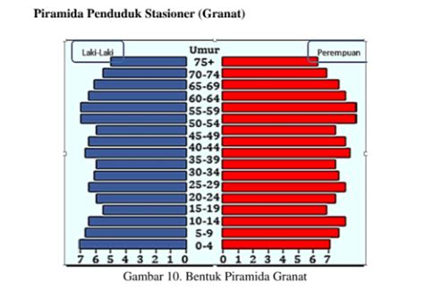 Piramida Penduduk Jenis Bentuk Dan Karakteristik Piramida Penduduk