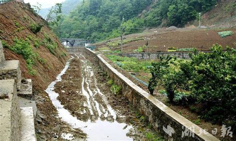 郧阳区茶店镇：治理河道沟渠 助力乡村振兴发展 荆楚网 湖北日报网