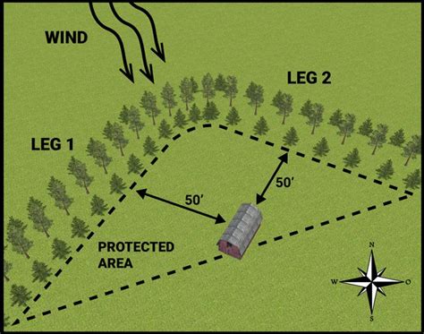 Guide To Planting A Windbreak Windbreak Farm Plans Permaculture