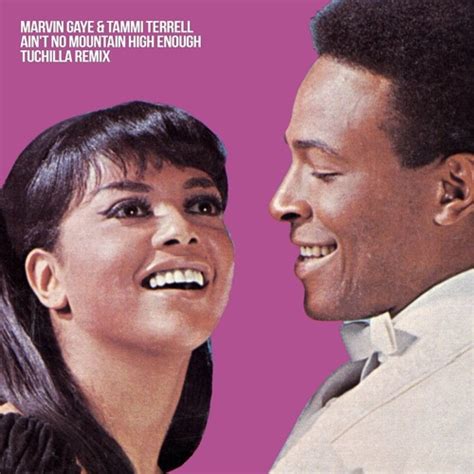 Stream Marvin Gaye Tammi Terrell Ain T No Mountain High Enough