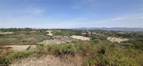 Ismea All Asta Nella Tuscia 300 Ettari Di Terreni Agricoli Incolti