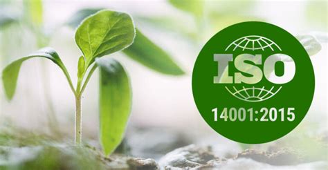 Iso 14001 Requirements Conducting Business Activities