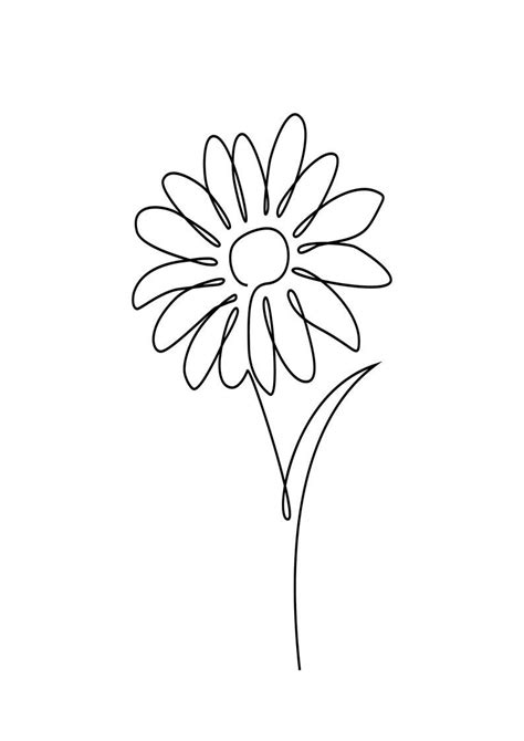 Daisy Flower Line Drawing