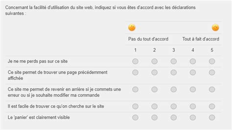 Comment Mesurer La Satisfaction Client Sur Votre Site E Commerce