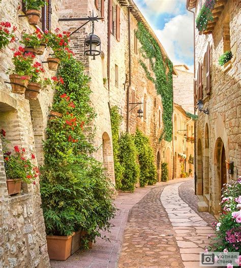 Цветочная узкая старая улочка | Photo, Spring flowers, Road