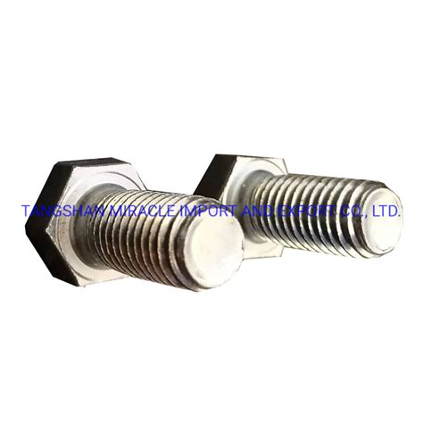 Electro Galvanized Hot DIP Galvanized Black Bolts And Nuts Carbon Steel And Stainless Steel