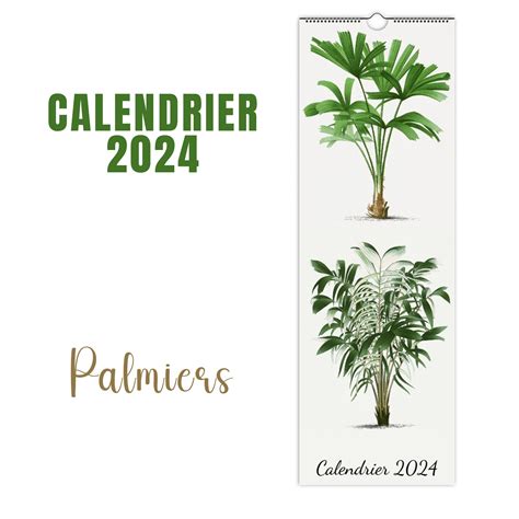 Calendrier Palmier Hatti Koralle