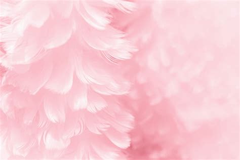 Closeup Pink Feathers Print A Wallpaper