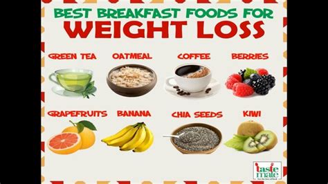 10 Healthy Breakfast Foods For Weight Loss 10 Healthy Breakfast Foods