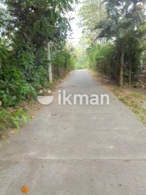 Land For Sale In Piliyandala Ikman