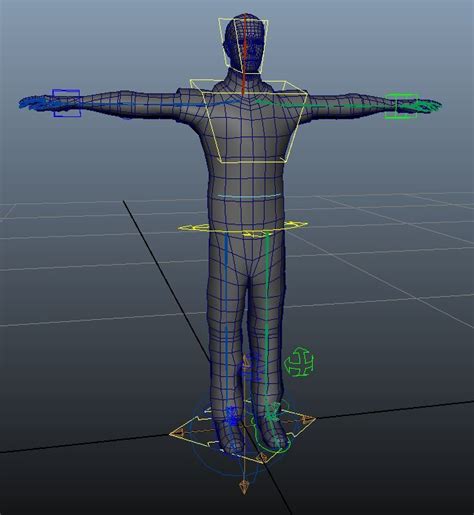 Basic human game ready rig MAYA 3D Model $25 - .ma - Free3D