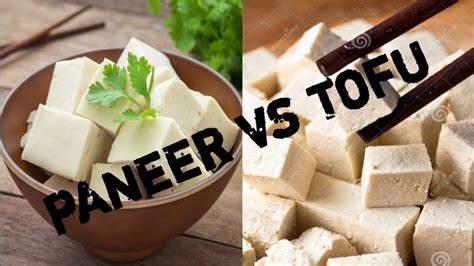 PANEER VS TOFU YouTube