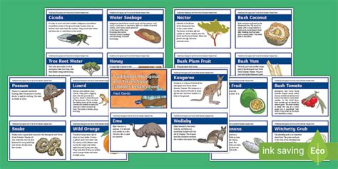 Aboriginal And Torres Strait Islander Peoples Bush Food Fact Cards