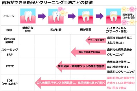 虫歯・歯周病予防法【3ds治療】 入れ歯・歯周病治療の歯科なら【町田ni歯科】