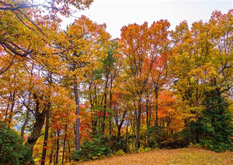 Fall Brilliance In Asheville North Carolina — Kevin And Amanda