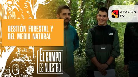 Gestión forestal y del medio natural YouTube