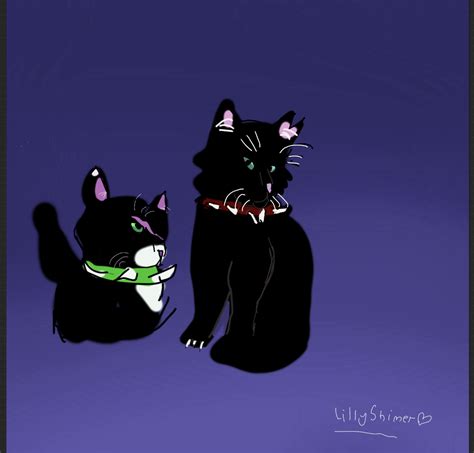 Warrior Cats Scourge And Bone