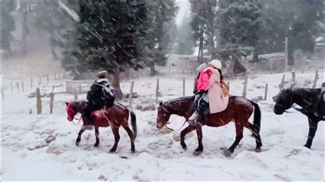 Snowfallpahalgambaisaran Valleyhorse Ride In Snowfallwinter