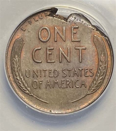 Lincoln Wheat Cent Anacs Ms Ragged Clip Defective Planchet