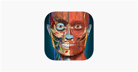 ‎Anatomy Learning - 3D Anatomy on the App Store