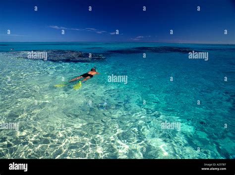 Snorkeling In Crystal Clear Tropical Waters Of Aitutaki Cook Islands