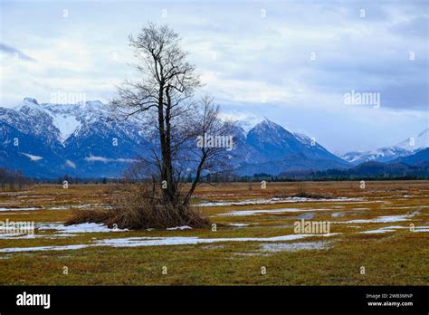 Moos Ebene Hi Res Stock Photography And Images Alamy