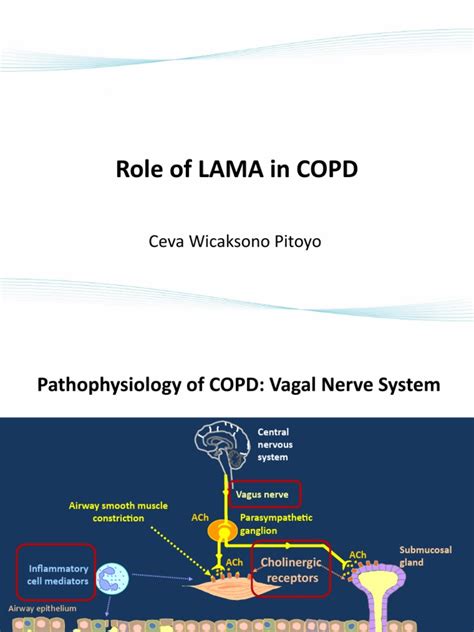 2019 LAMA For COPD | PDF | Chronic Obstructive Pulmonary Disease | Therapy