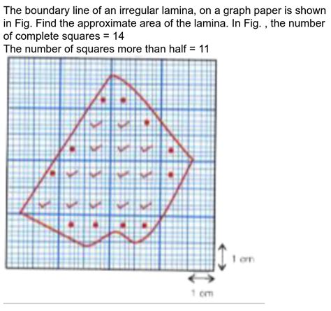 Describe The Method In Steps To Find The Area Of An Irregular Lami